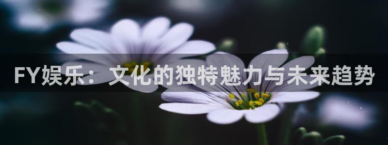 bg大游娱乐官网：FY娱乐：文化的独特魅力与未来趋势
