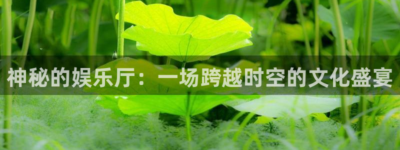 bg大游：神秘的娱乐厅：一场跨越时空的文化盛宴