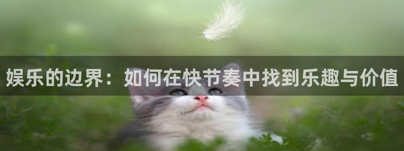 bg大游官网：娱乐的边界：如何在快节奏中找到乐趣与价值
