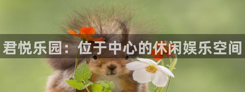 bg大游：君悦乐园：位于中心的休闲娱乐空间