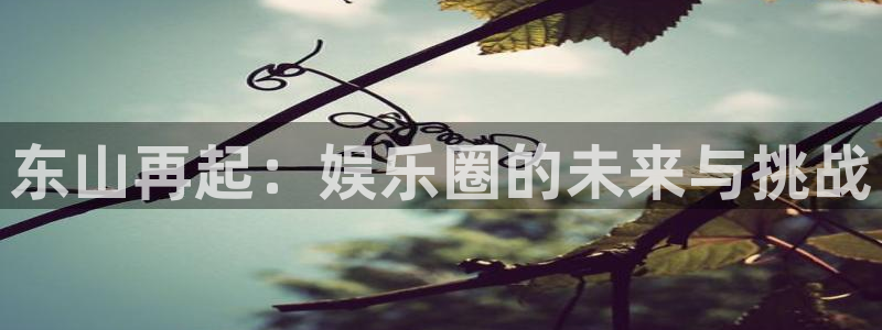 bg大游：东山再起：娱乐圈的未来与挑战