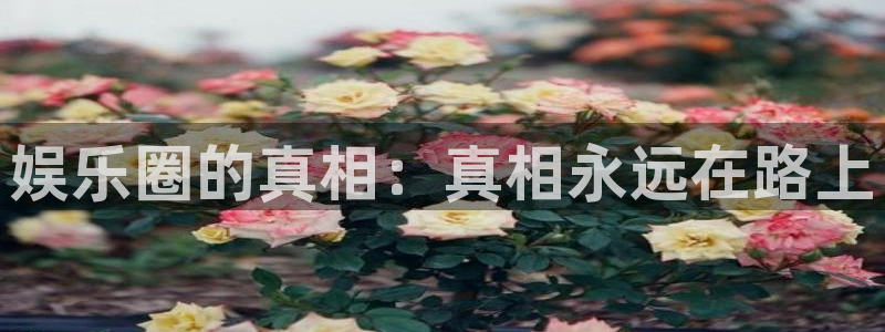 bg大游娱乐官网：娱乐圈的真相：真相永远在路上