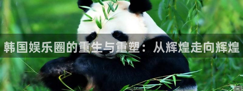 bg大游官方网站：韩国娱乐圈的重生与重塑：从辉煌走向辉煌